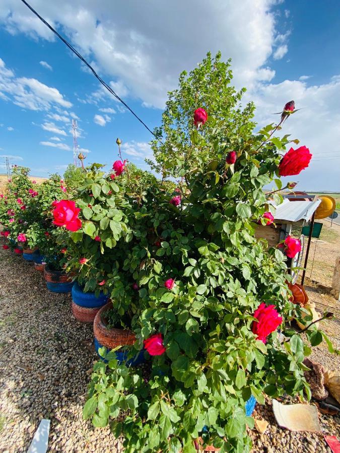motel ain mersa Ifrane  Buitenkant foto